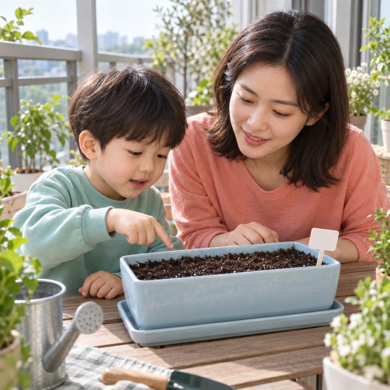 상추 씨앗 심기, 씨앗 발아와 물주기는 어떻게 살필까?