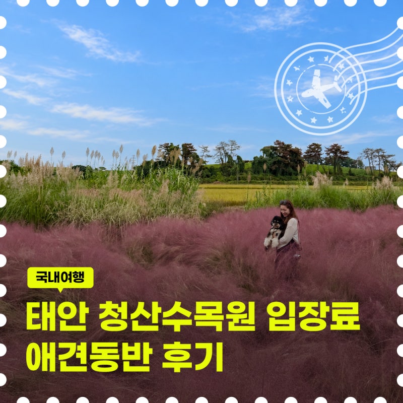 태안 청산수목원 애견동반 가능할까? 핑크뮬리 팜파스 후기 입장료 할인 정리