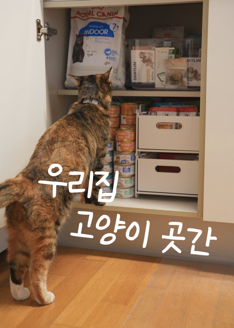 싱크대 하부장, 고양이용품 정리할 때 철제 슬라이딩 수납함