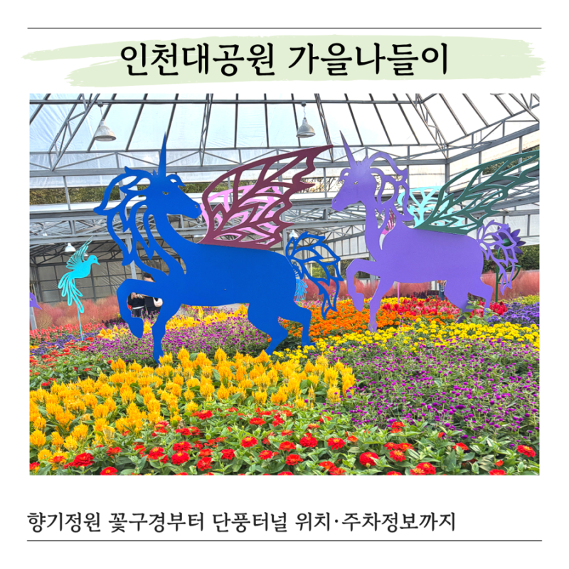 인천대공원 단풍 시기 10월 11월, 아이와 가볼만한곳 | 향기정원 꽃구경 후기