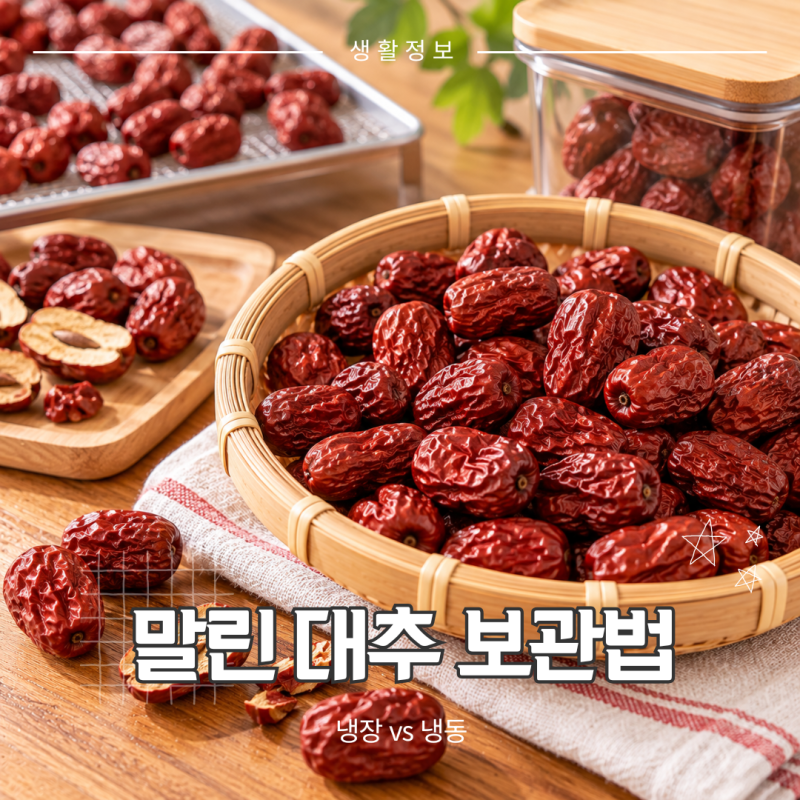 말린 대추 보관법, 냉장 냉동 차이와 곰팡이 확인 방법