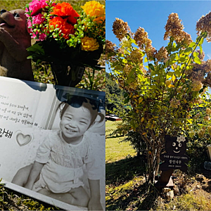 정인이 6주기, 이동원 PD가 묘소에서 떠올린 이름