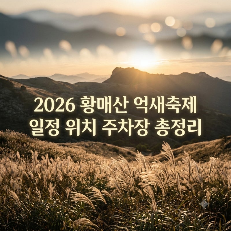2026 황매산 억새축제 일정 위치 주차장 총정리! 무료입장 가을 인생샷 명소