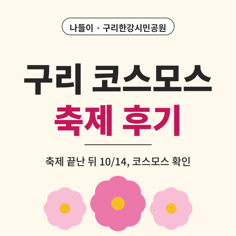 구리 코스모스 축제 후기, 구리한강시민공원 10월 14일 코스모스 상태까지