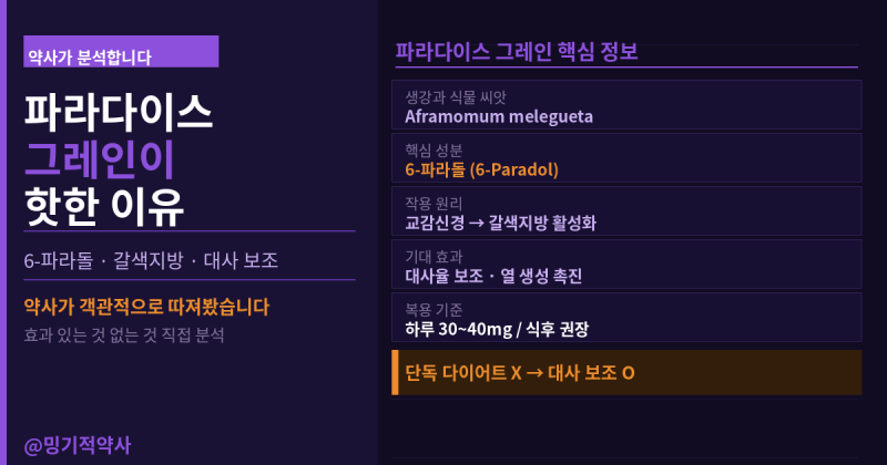 파라다이스 그레인 효과, 갈색지방 진짜 활성화될까? 6-파라돌 다이어트 근거와 선택 기준