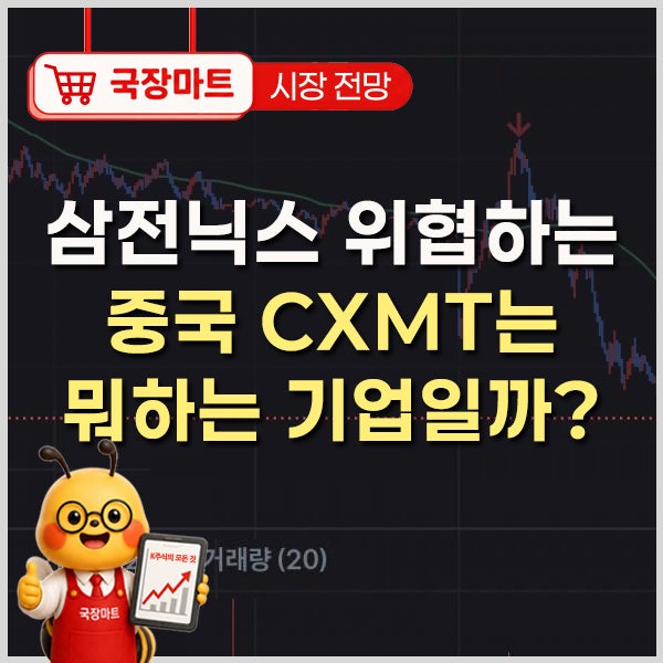 삼전닉스 주가 위협하는 중국 CXMT는 뭐하는 기업일까?