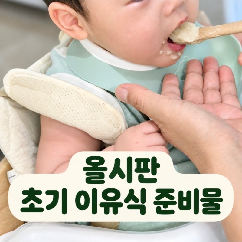 초기 이유식 준비물 올시판으로 중기까지 사용한 육아템