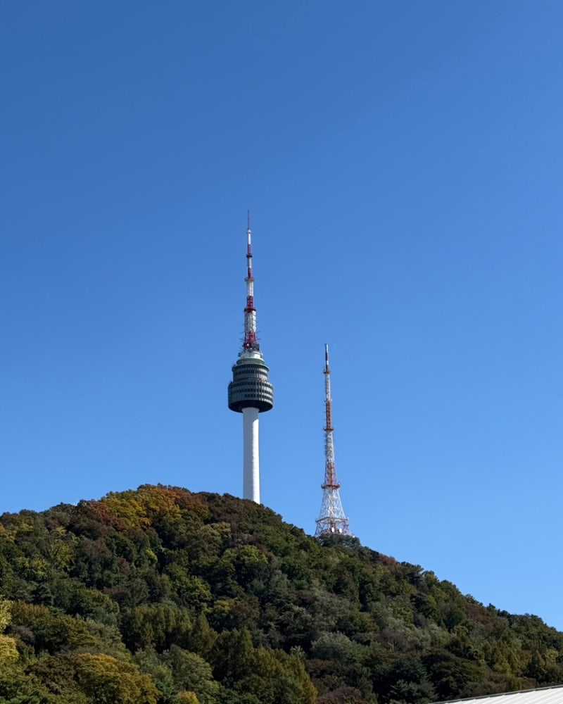 [회현] 남산 등산 | 남녀노소 쉽게 오를 수 있는 대표 관광지 ‘남산 서울타워’