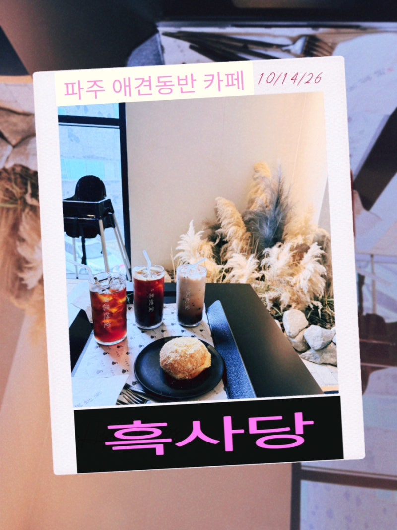 파주 애견동반 대형카페 흑사당｜헤이리마을 블루리본 선정 도넛 맛집 아이와함께 방문후기