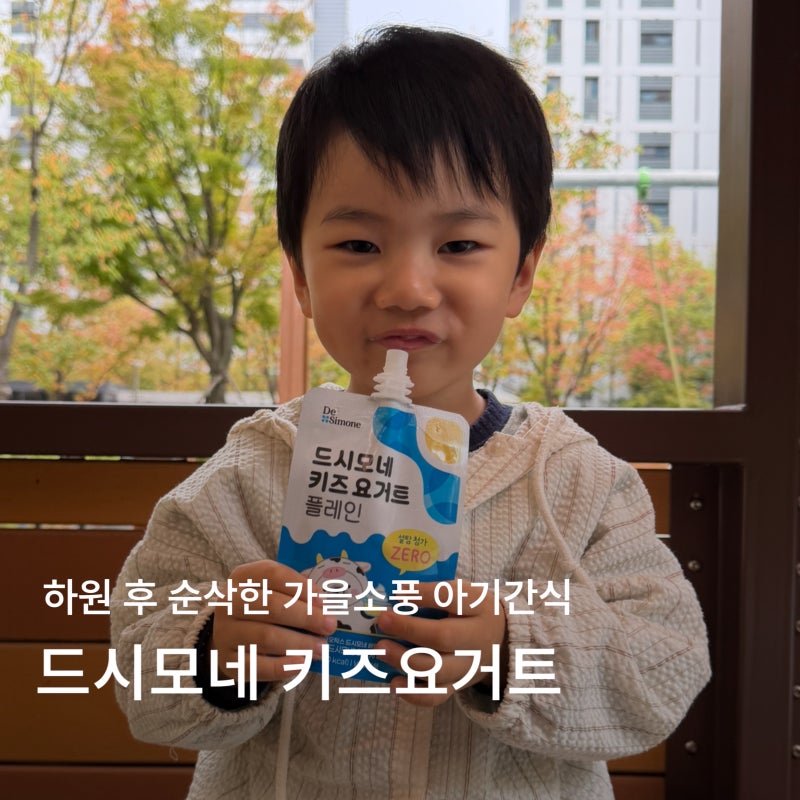 드시모네 키즈요거트ㅣ가을소풍 아기간식으로 딱인 건강간식, 하원 후 간식으로 먹인 후기