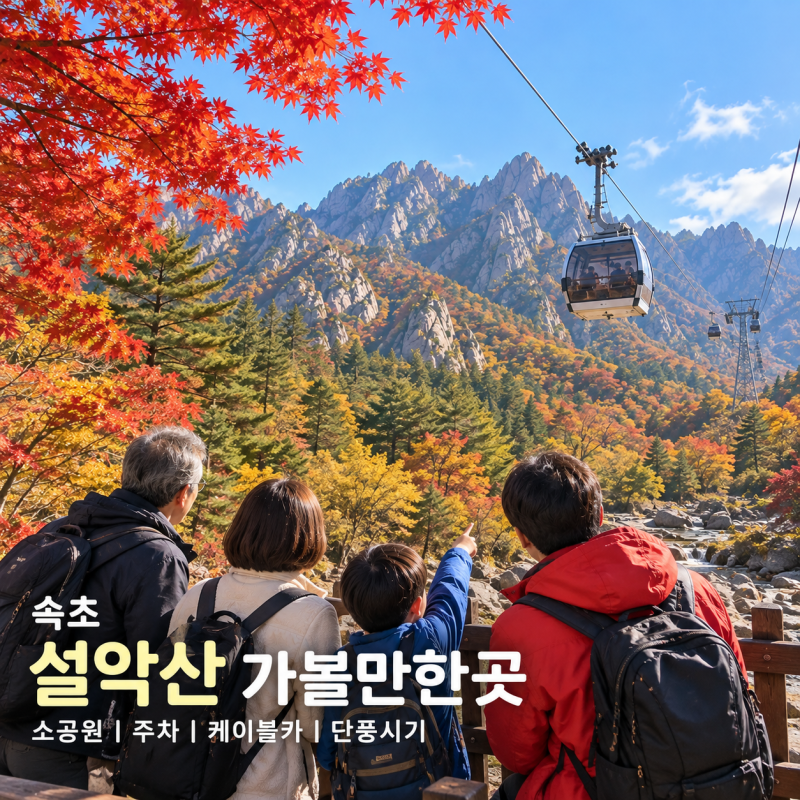 속초 설악산 가볼만한곳 소공원 주차 케이블카 단풍시기