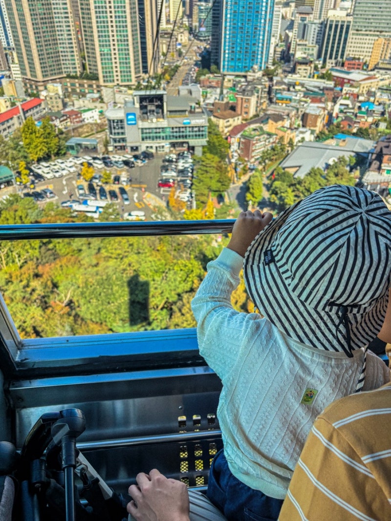[36개월 미만 무료 뿌시기] 남산케이블카 탑승 후기