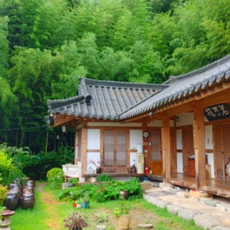 오늘N 담양 대나무숲 한옥숙소 어디? 죽신황금차 다도체험 판소리 전통문화체험 (촌집 전성....