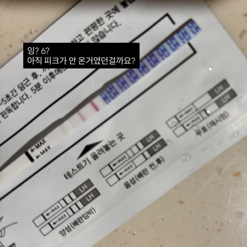 임신준비 기록 | 또다시 희미한 두 줄, 결국 생리로 끝난 도전 (임테기 비추 후기)