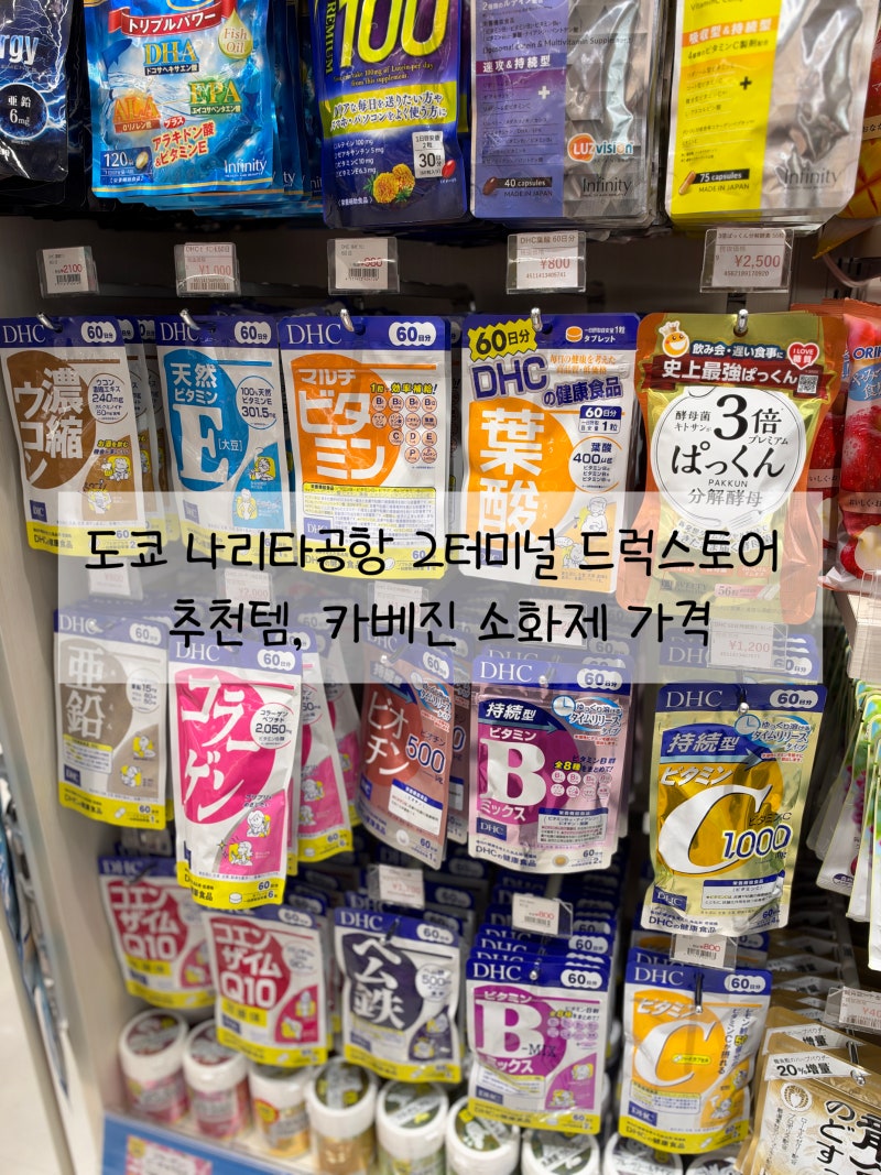 도쿄 나리타공항 2터미널 드럭스토어 위치 추천템 카베진 소화제 가격