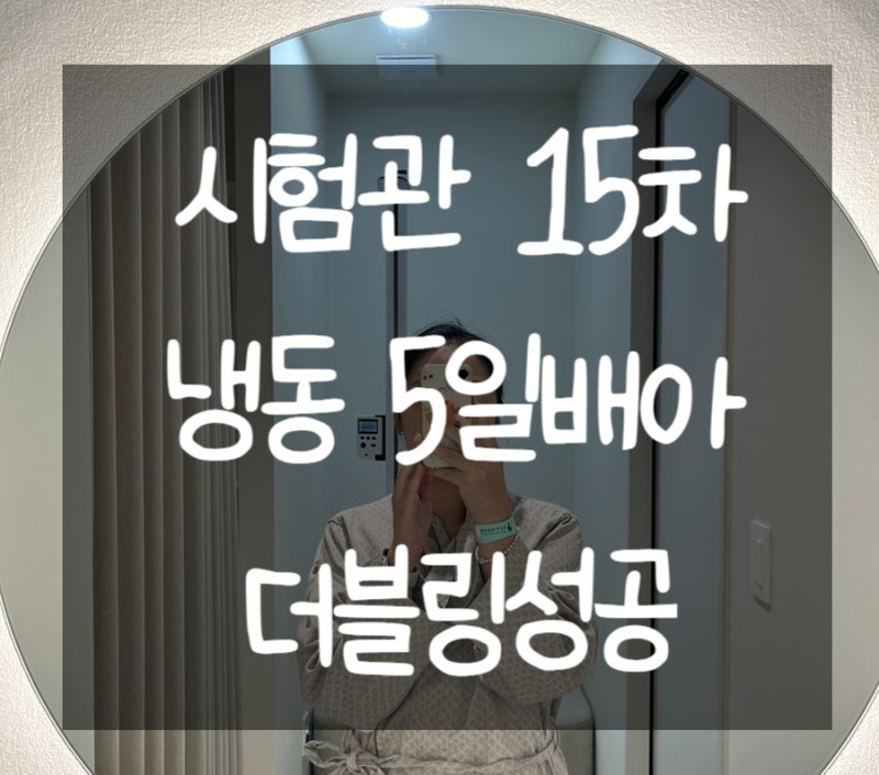 시험관ep:25) 15차동결이식, 5일배아, 1차피검사, 2차피검사, 더블링성공