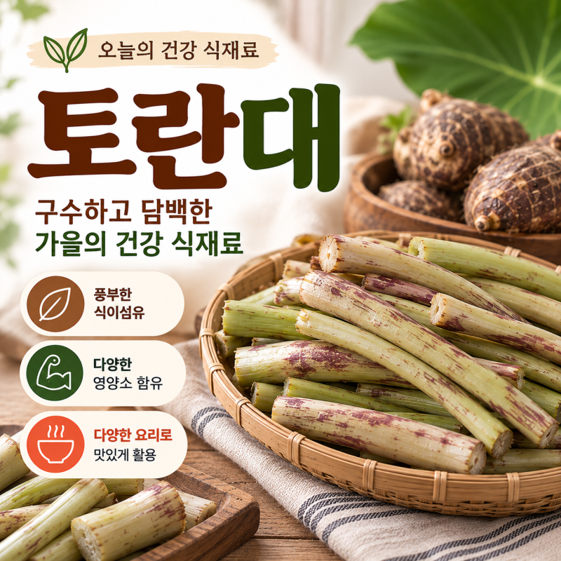 토란대 ㅣ 효능과 손질법 총정리! 들깨볶음부터 육개장까지 맛있는 토란대 요리 5가지