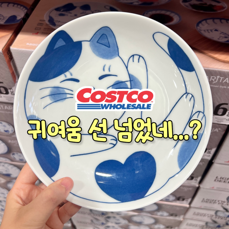 "또 난리나겠네..." 코스트코 일본 아리타리아 고양이 접시 신상 입고!