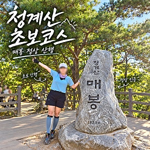 등산초보 청계산 등산코스 원터골-옥녀봉-매봉(단풍현황, 거리, 난이도 등)