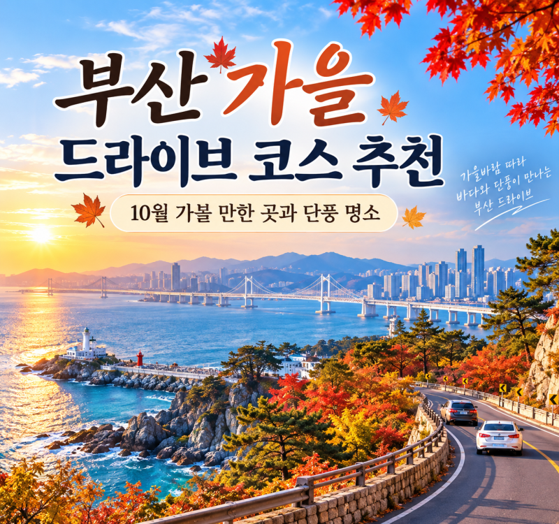 부산 가을 드라이브 코스 추천｜10월 가볼 만한 곳과 단풍 명소