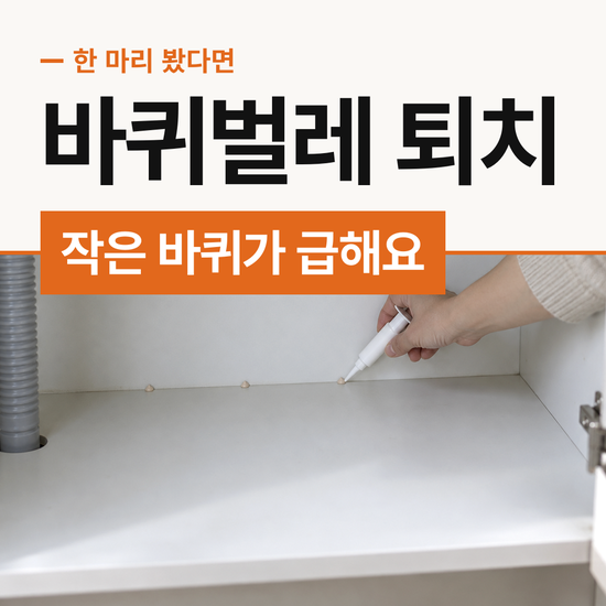 바퀴벌레 퇴치 큰 바퀴보다 작은 바퀴가 더 급해요