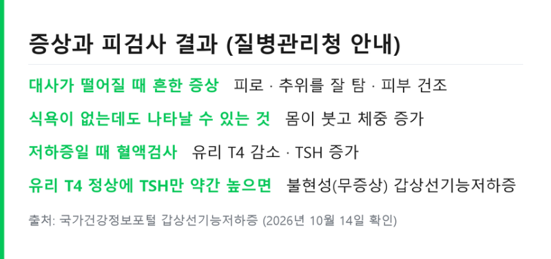 갑상선기능저하증 증상 .. TSH 피검사 수치와 호르몬제 복용법 정리