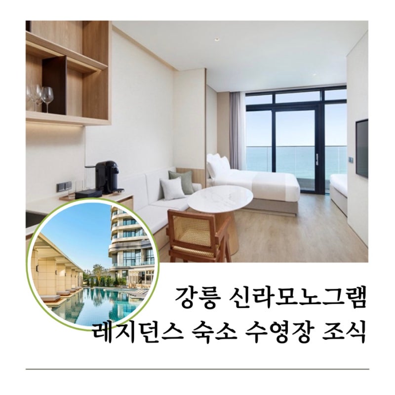 강릉 신라모노그램 레지던스 조식 수영장 카페 가이드