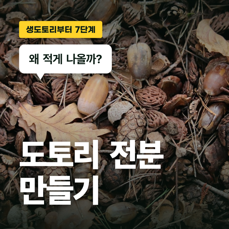 도토리 전분 만들기 7단계, 얼마나 나올까?