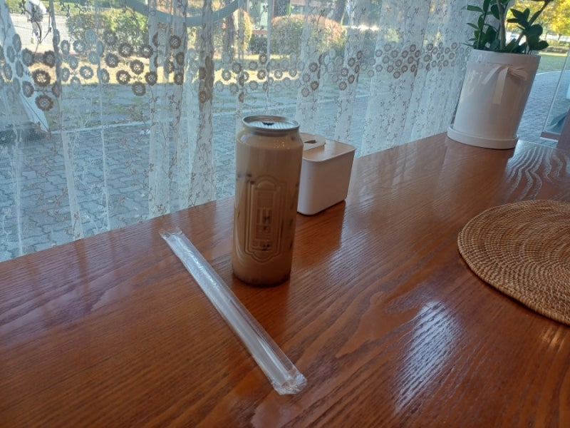 [임신 일기] 4주 4일, 2차 피검사 수치 급증! 혹시 쌍둥이일까요?