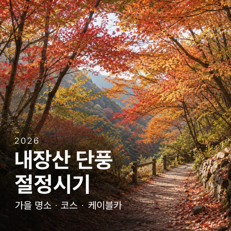 2026 내장산 단풍 절정시기 가을 명소 코스 케이블카 예약