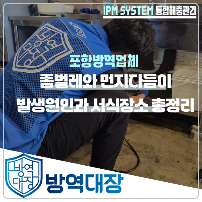 좀벌레와 먼지다듬이 차이점, 발생 원인부터 퇴치 방법까지