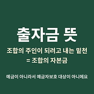 자연드림 출자금 반환 지연, 출자금 뜻부터 차입금 차이까지