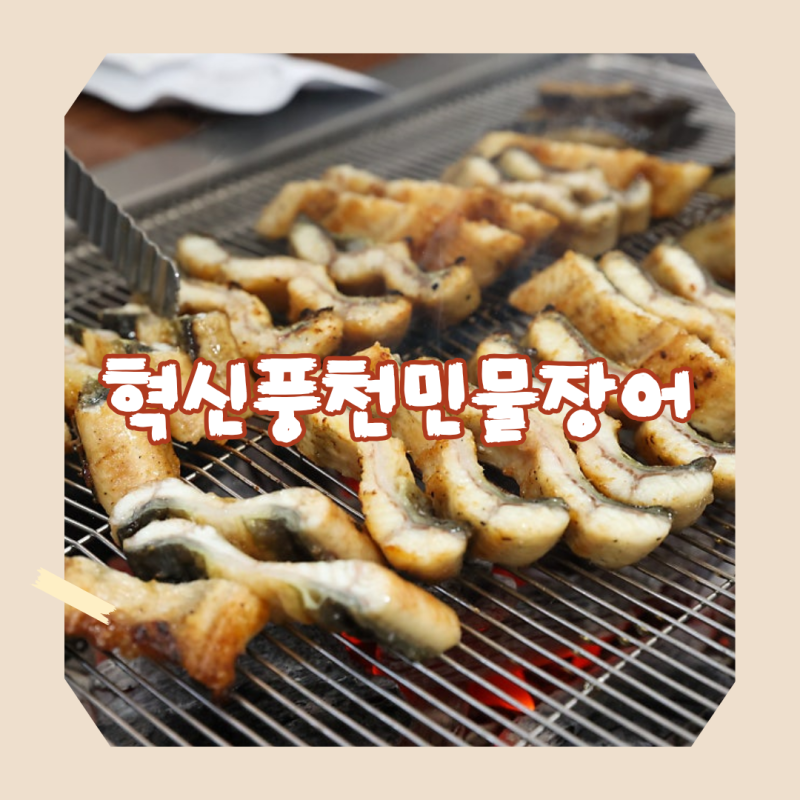 원주맛집추천 몸보신 극상! 신선함이 남다른 원주장어맛집 혁신풍천민물장어