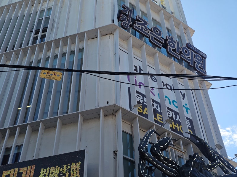 스토케 요요5 요요3 휴대용 유모차 비교 직접 살펴본 후기