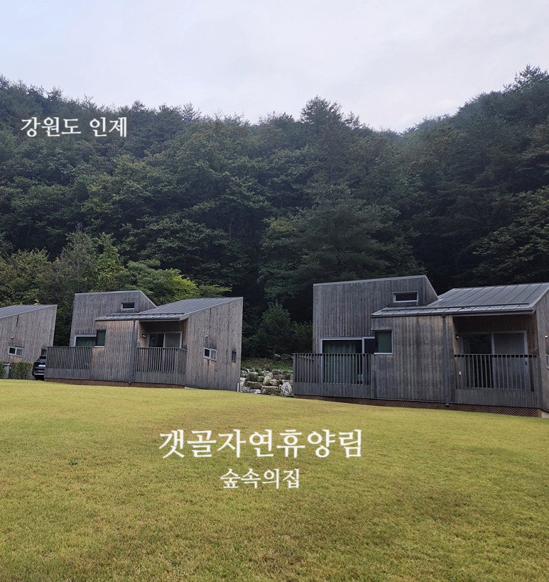 인제 갯골자연휴양림 숲속의집 203호 후기, 휴양관과 비교해 본 장단점