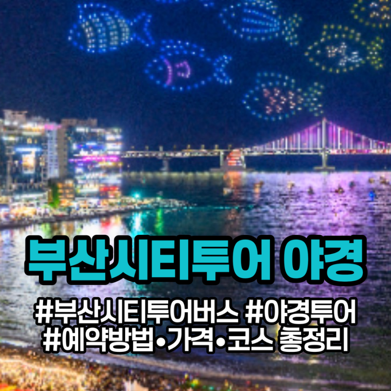 부산시티투어버스 야경버스투어 코스 예약 방법과 가격 정보