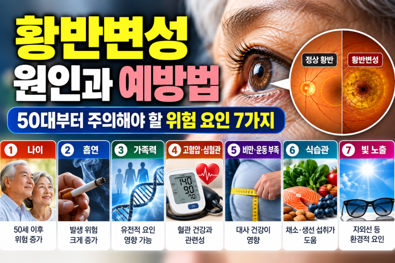 황반변성 원인과 예방법 총정리: 50대부터 주의해야 할 위험 요인 7가지와 눈 건강 관리법
