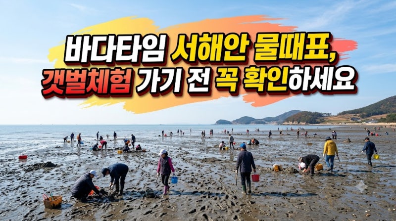 바다타임 서해안 물때표, 갯벌체험 가기 전 꼭 확인하세요
