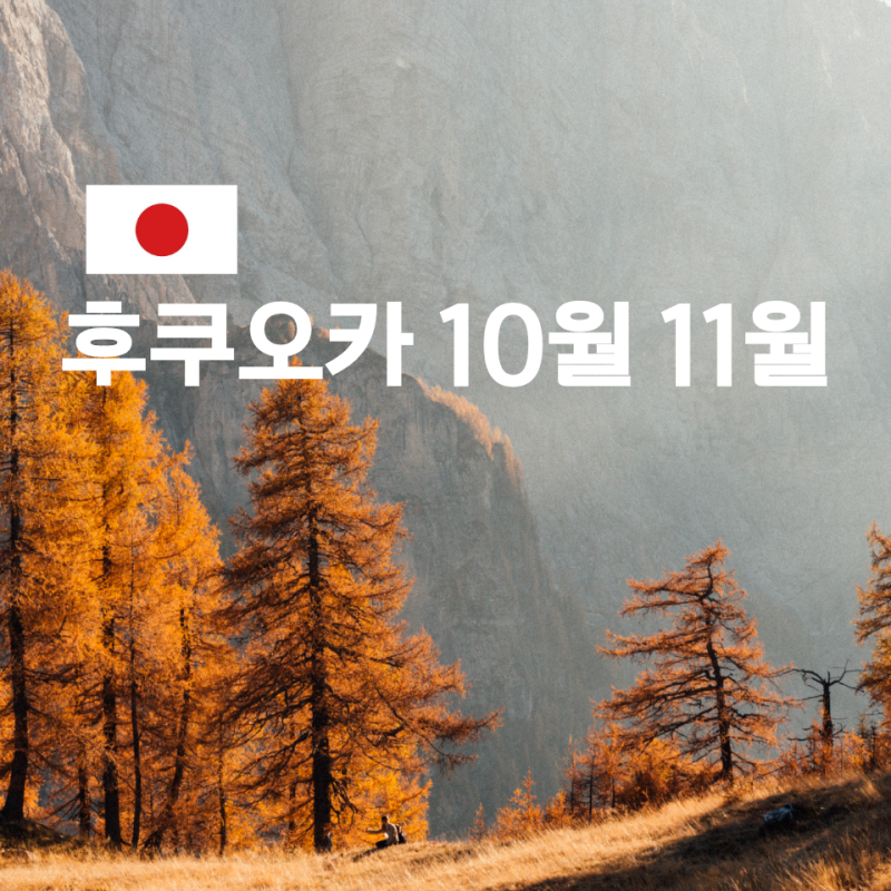 후쿠오카 10월 11월 날씨 반팔 겉옷 코트 언제 입어야 할까?