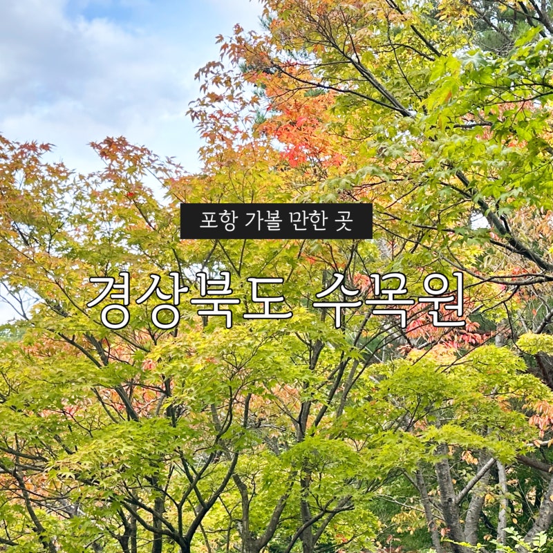 포항 가볼 만한 곳 경상북도 수목원 10월 가을 나들이