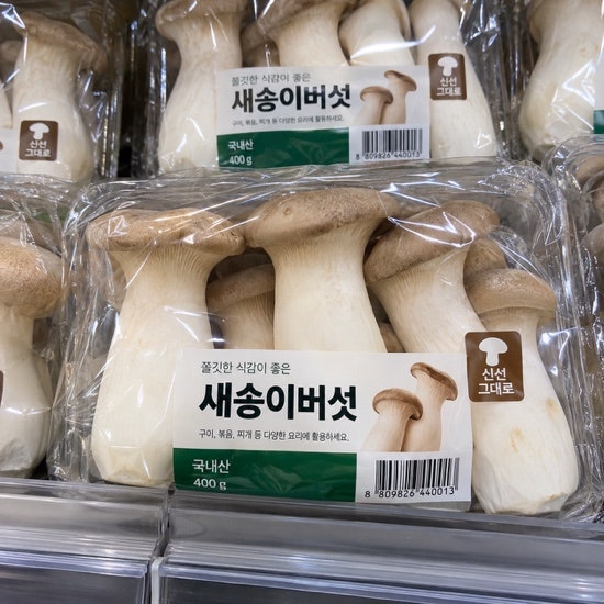 새송이버섯 씻어서 보관해도 될까? 신선하게 보관하는 방법