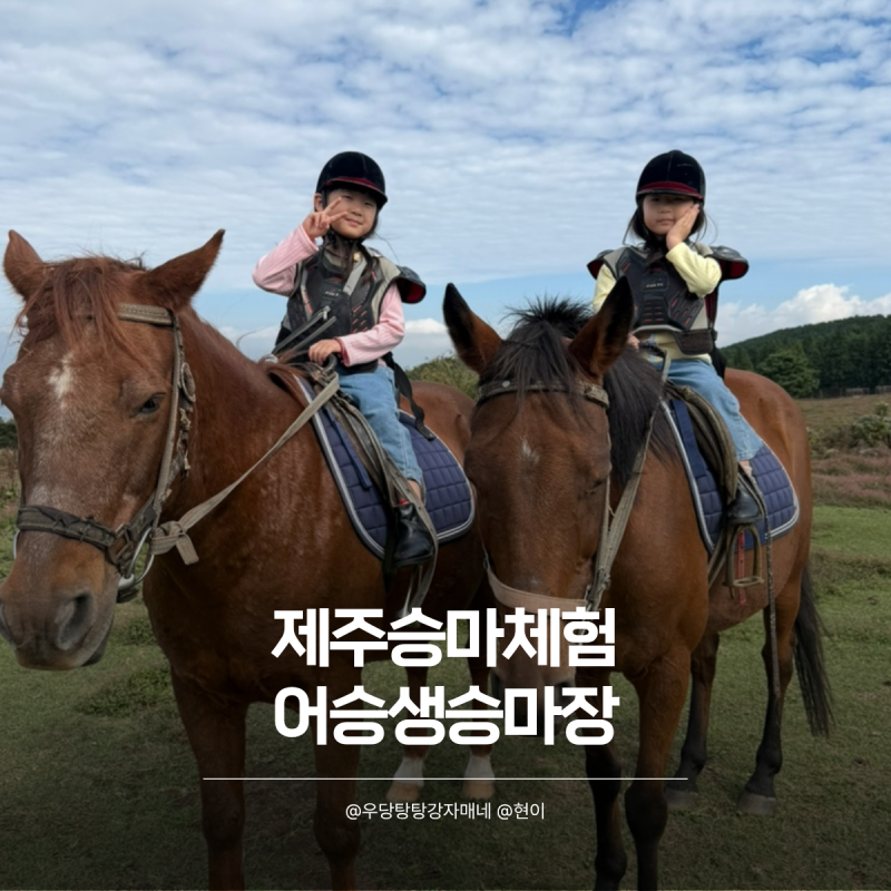 제주승마체험 어린이 승마체험으로 만족한 어승생승마장