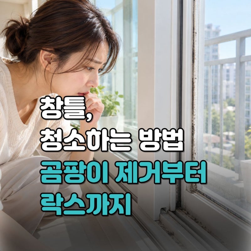 베란다 창틀 청소방법, 실리콘 곰팡이 제거부터 락스 사용법까지 총정리