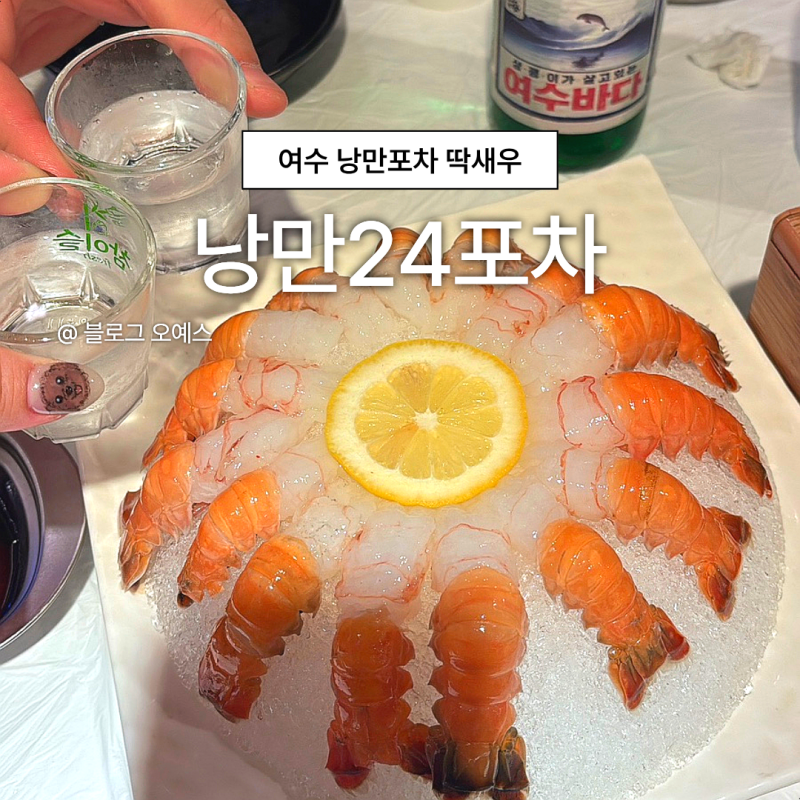 여수 밤바다 맛집 곽튜브도 인정한 낭만24포차 딱새우회 솔직후기