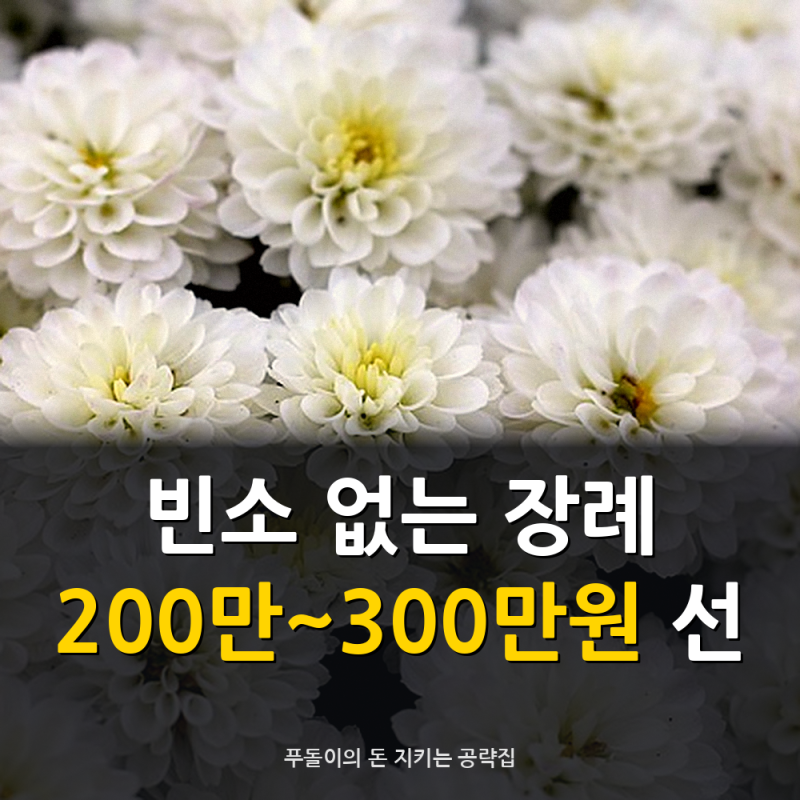 빈소 없이 부모님 보낸 가족들, 장례비 계산해 봤더니 200만~300만 원｜무빈소 장례 비용