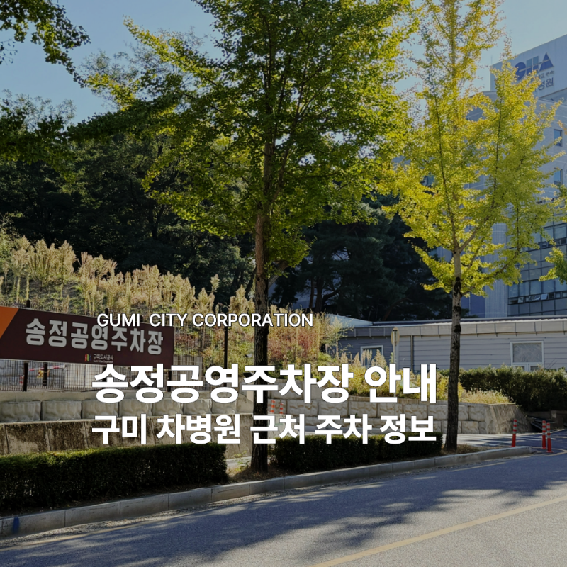 구미 송정공영주차장, 차병원 근처 주차 정보