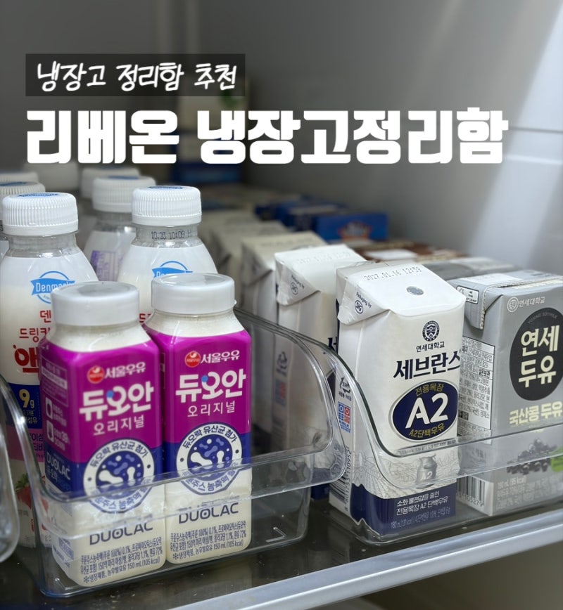[냉장고 정리함 추천] 냉장고 공간 부족 해결! 리베온 다용도 투명 트레이 & 도어 포켓