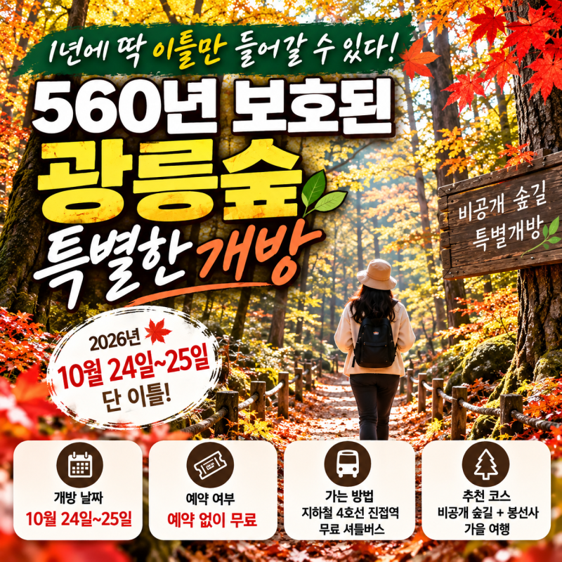 2026 광릉숲 특별개방 1년에 딱 이틀! 560년 비밀의 숲 개방 날짜 예약 가는 법 총정리