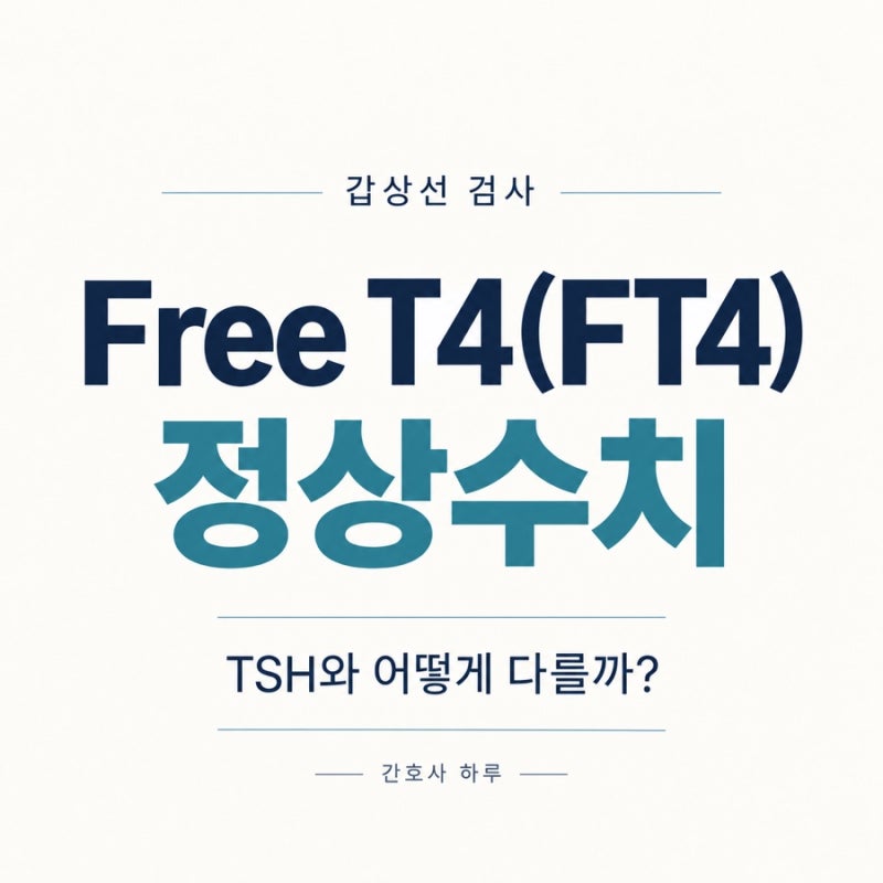 Free T4(FT4) 정상수치｜TSH와 어떻게 다를까?