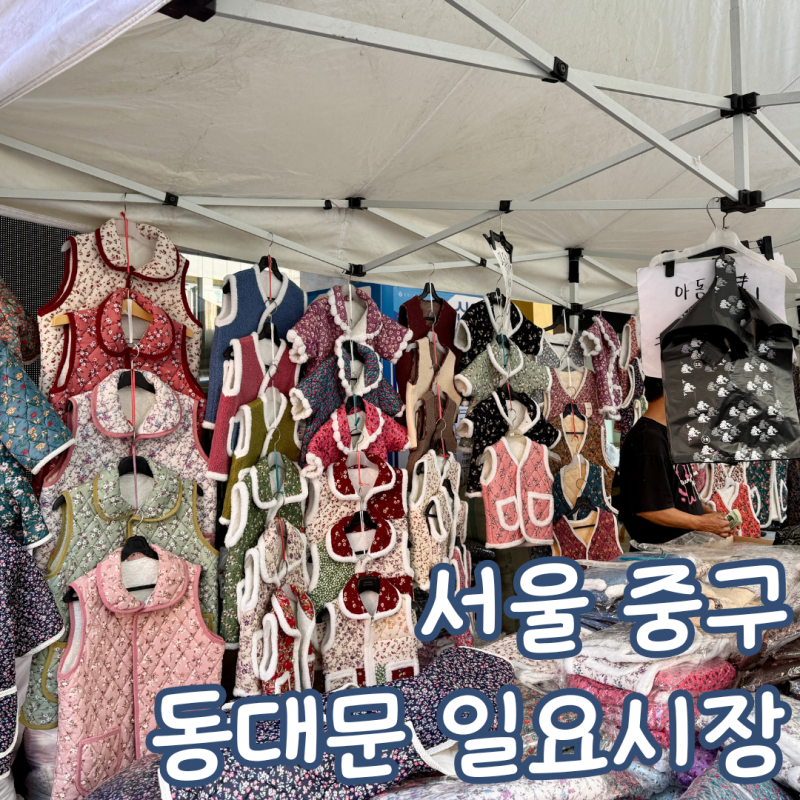 동대문 일요시장 주차 꿀팁부터 가성비 쇼핑 후기 (아기 유모차 가능)